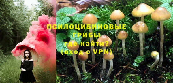 метадон Медногорск